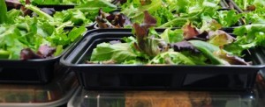 Paleo Meals to CrossFit Gyms
