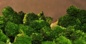 Freshly Prepared Paleo Meals Delivered to CrossFit Gyms